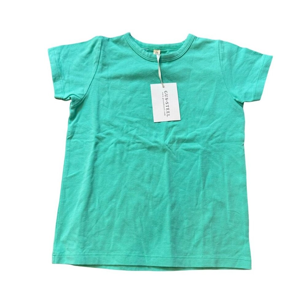 NWT Gus + Steel Mint Basic Tee 5T